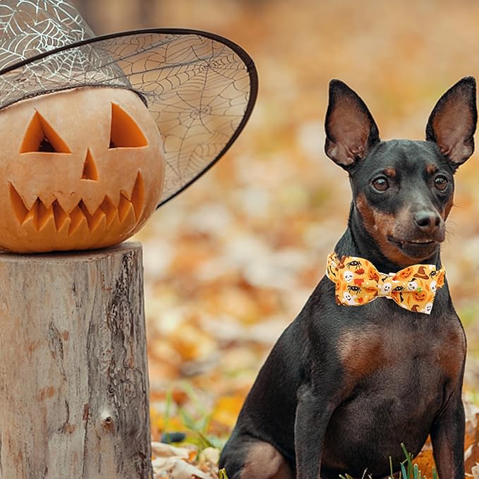 Halloween Dog Collar, Pet Collar Bow Fall Puppy Collar Girl Boy Holiday Pet - Image 6