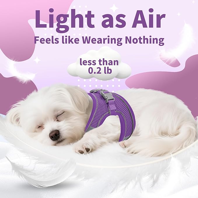 AIITLE Comfortable Dog Harness and Leash Set - Image 5