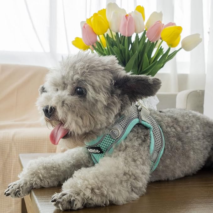 AIITLE Escape Proof Dog Harness - Image 6