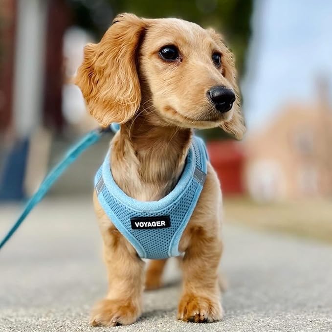 Best Pet Supplies Voyager Step-in Air All Weather Mesh Harness and Reflective - Image 8