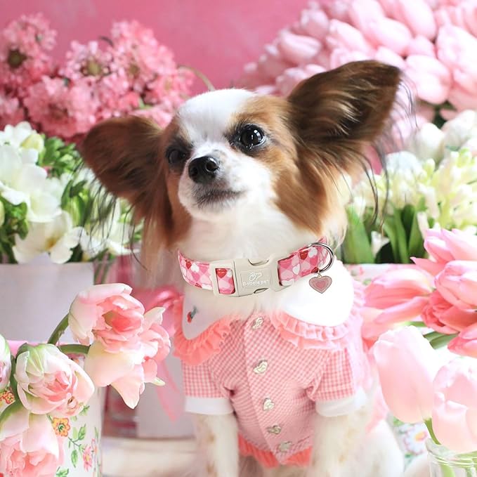 Valentines Dog Collar for Giant Large Dogs - Image 2
