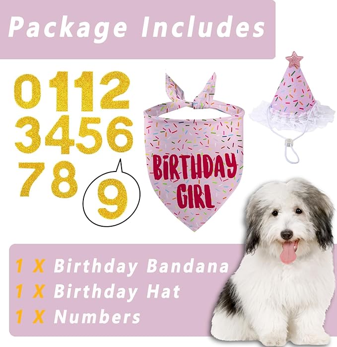 Dog Birthday Bandana Set, Light Pink Birthday Girl Decorations, HBD Party - Image 2