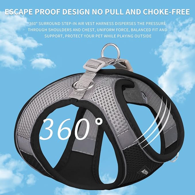 AIITLE No Pull Dog Harness and Leash Set, Step in Adjustable Dog Harness - Image 2