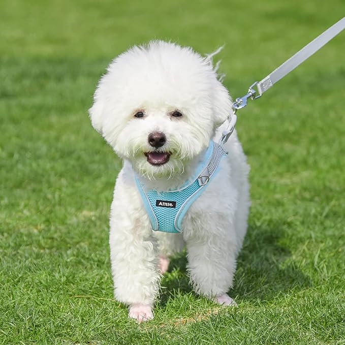 AIITLE Small Harness for Puppy - Image 4