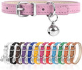 S Dog Collar for Small Dogs Adjustable Dog Collars Cat Collar for Small Medium by Engorgio