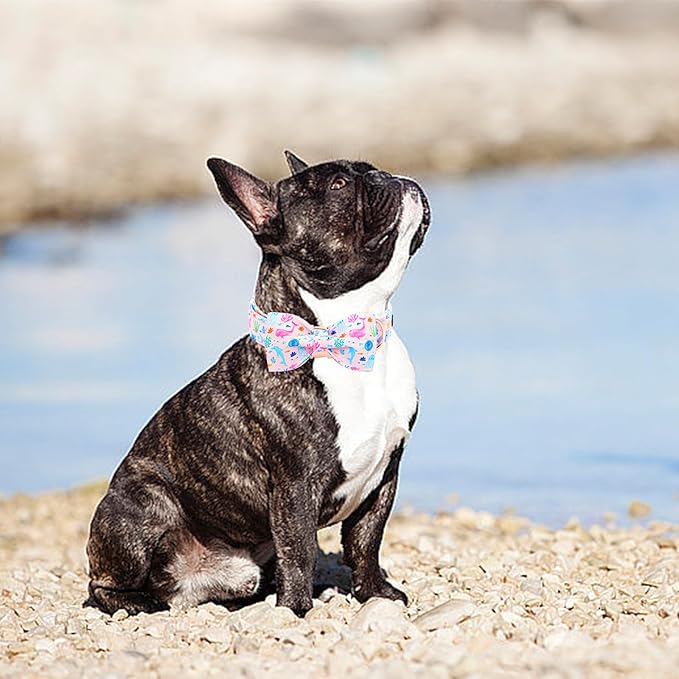 Lionheart glory Dog Bow Collar Sea Animals Print Pink Dog Collar - Image 4