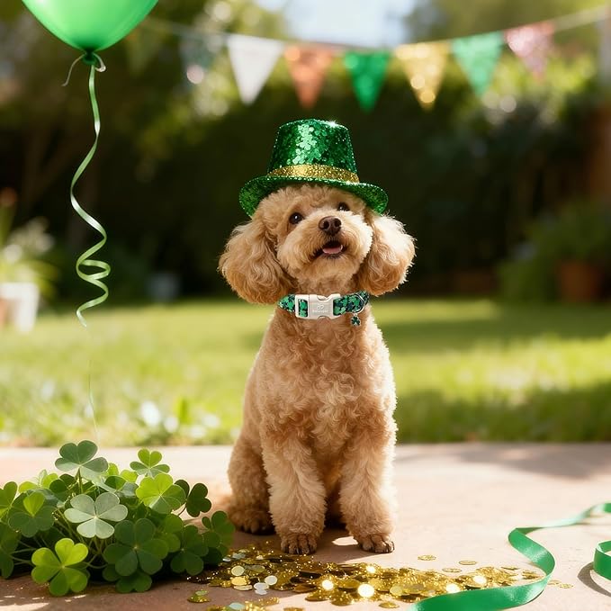 St Patricks Day Dog Collar for Puppy Small Dogs - Image 6