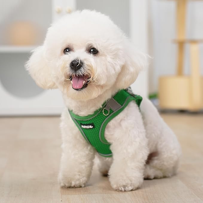 AIITLE Comfortable Dog Harness and Leash Set - Image 6