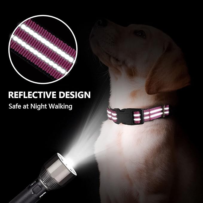 Martingale Dog Collar, Adjustable Nylon Reflective Collar - Image 2