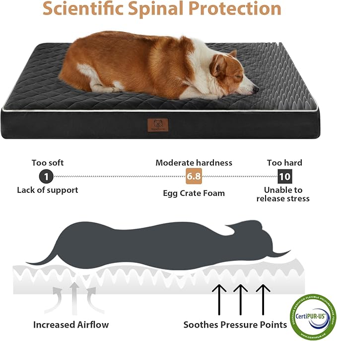 WNPETHOME Orthopedic Dog Bed Medium Size Dog, Waterproof Medium Dogs Bed - Image 3