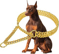 Gold Dog Chain Collar Stainless Steel 18K Gold Dog Collar Adjustable Walking by KINGOLDOS