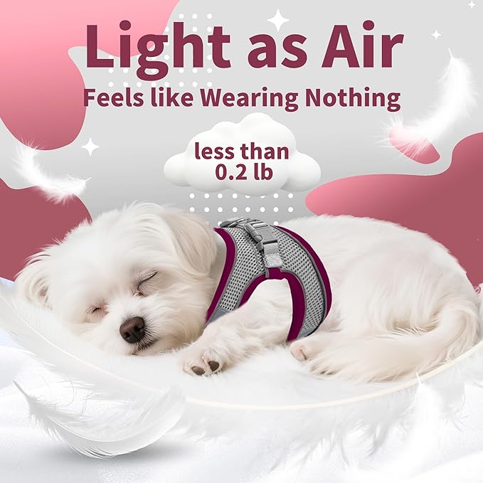 AIITLE Dog Harness, Christmas No-Pull Cat Harness - Image 5
