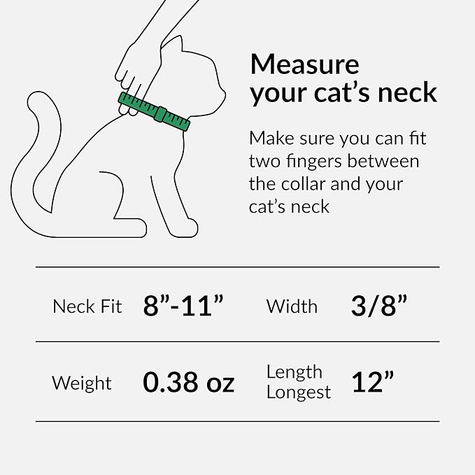 CollarDirect Leather Cat Collar - Image 7