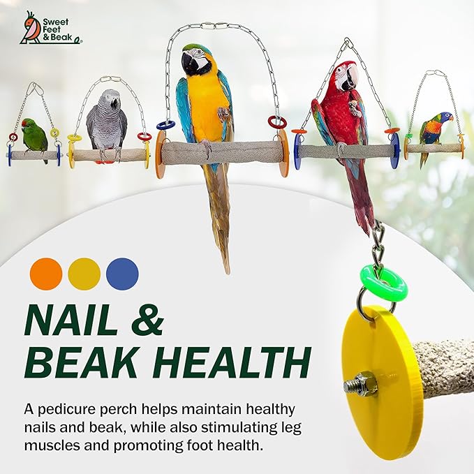 Sweet Feet and Beak Bird Swing - Image 5