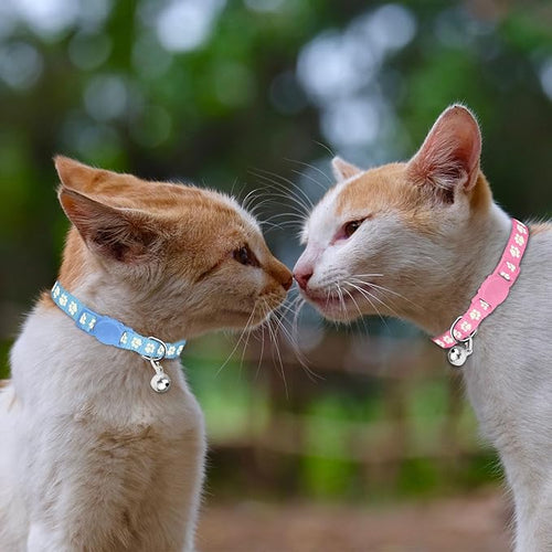 16 PCS Breakaway Cat Collars, Kitten Collar - Image 2