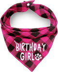 Birthday Plaid Dog Bandana by ZIRVYIR