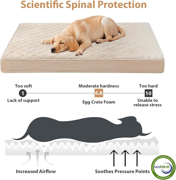 WNPETHOME Orthopedic Big Dog Beds Large Sized Dog, Waterproof Extra Large Dogs - Image 3