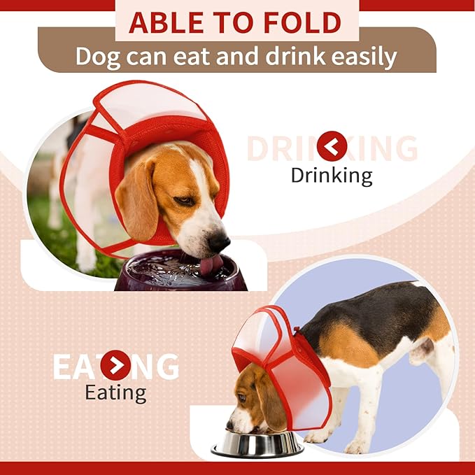Allroaring Dog Cone Collar, Soft Dog Cones - Image 3