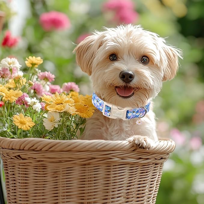 Floral Dog Collar for Large Dogs - Image 6