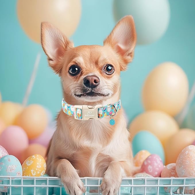 Easter Dog Collar for Small Dogs - Image 2