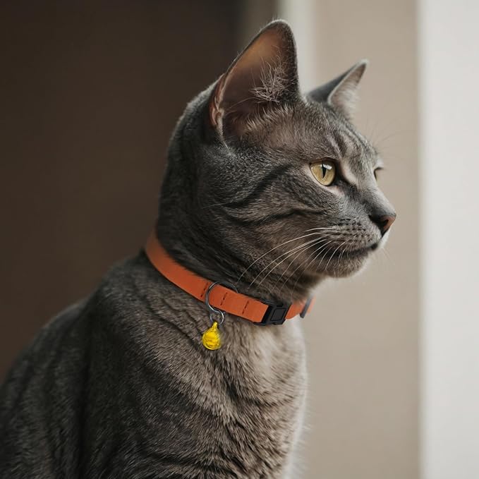 Breakaway Cat Collar Leather - Image 7