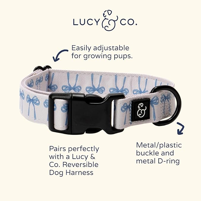 Lucy & Co. Dog Collar - Image 6