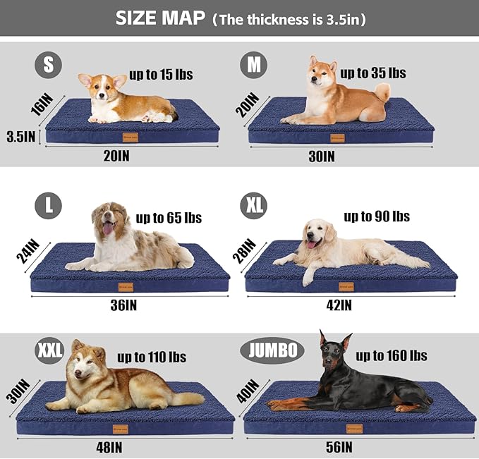 Patas Lague Orthopedic Dog Bed for Small Dogs 20''X15'', Soft Waterproof Egg - Image 5