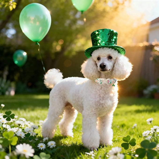 St Patricks Day Dog Collar for Medium Dogs - Image 2