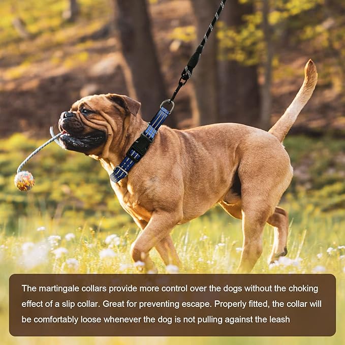 Hikiko Martingale Collar for Dogs Reflective Nylon Dog Collar - Image 5