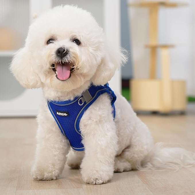 AIITLE Dog Harness, No-Pull Cat Harness - Image 10