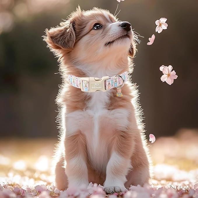 Easter Dog Collar for Medium Dogs - Image 7
