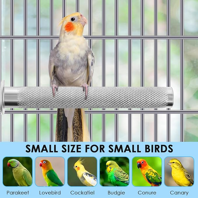 KATUMO Conure Perch - Image 5