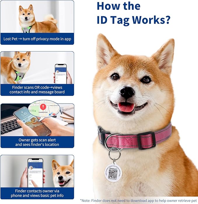 Reflective Dog Collar for Medium Dogs - Image 5