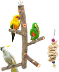 Bird Perch Nature Apple Hard Wood Stand, Parrot Stand Toy Branch Platform Paw by suruikei
