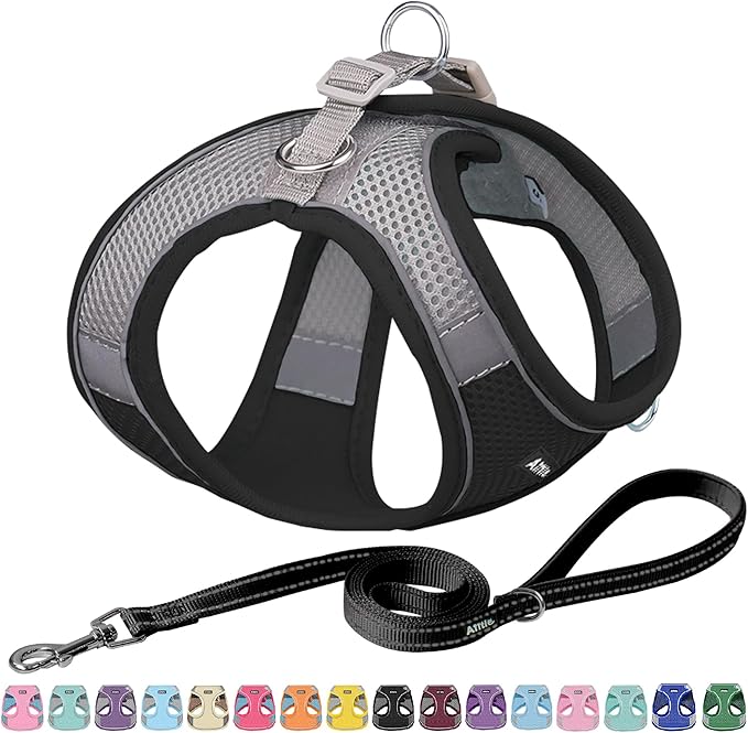 AIITLE Escape Proof Dog Harness by AIITLE-FORPETSBETTERLIFE
