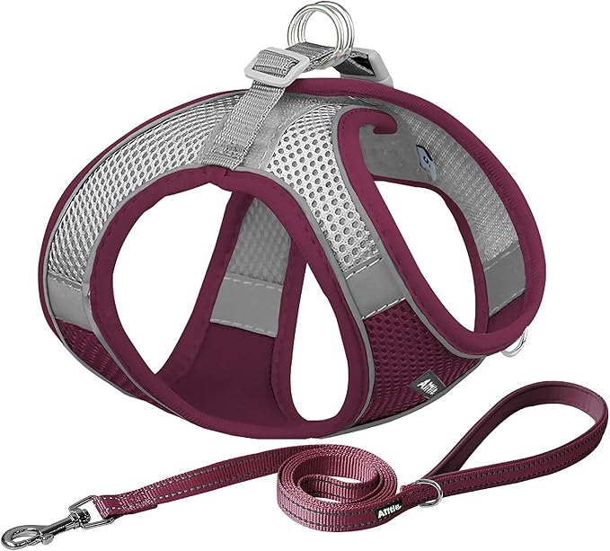 AIITLE Escape Proof Dog Harness by AIITLE-FORPETSBETTERLIFE