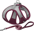 AIITLE Escape Proof Dog Harness by AIITLE-FORPETSBETTERLIFE