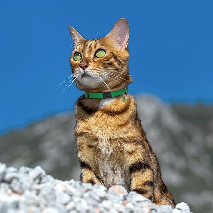 Muromto Breakaway Cat Collar Leather Soft Adjustable Pet Kitten Collars - Image 9