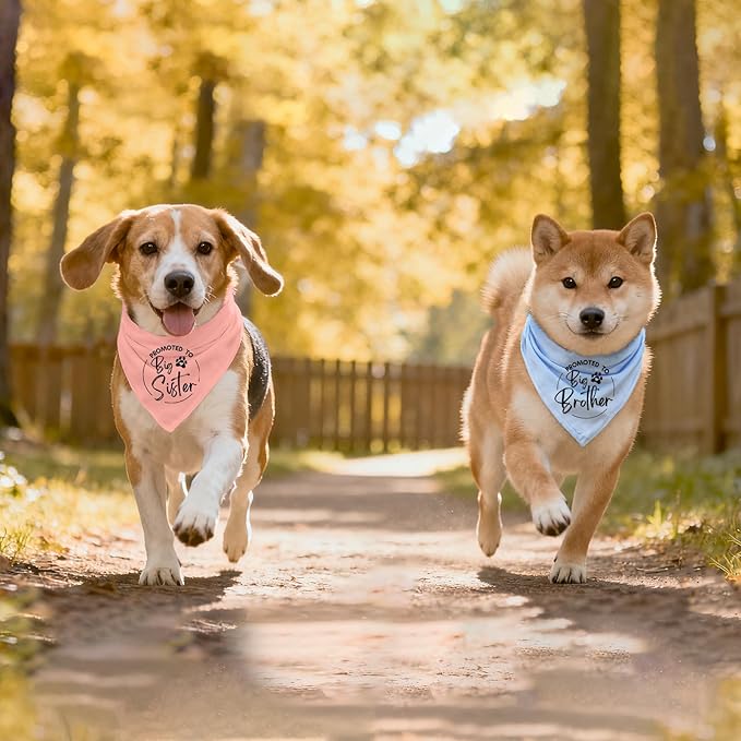 2 Pack Dog Bandana Pregnancy Announcement, Promoted to Big Brother and Sister - Image 6