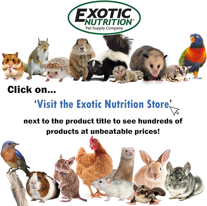 ZooPro Pet Travel Cage - Image 9