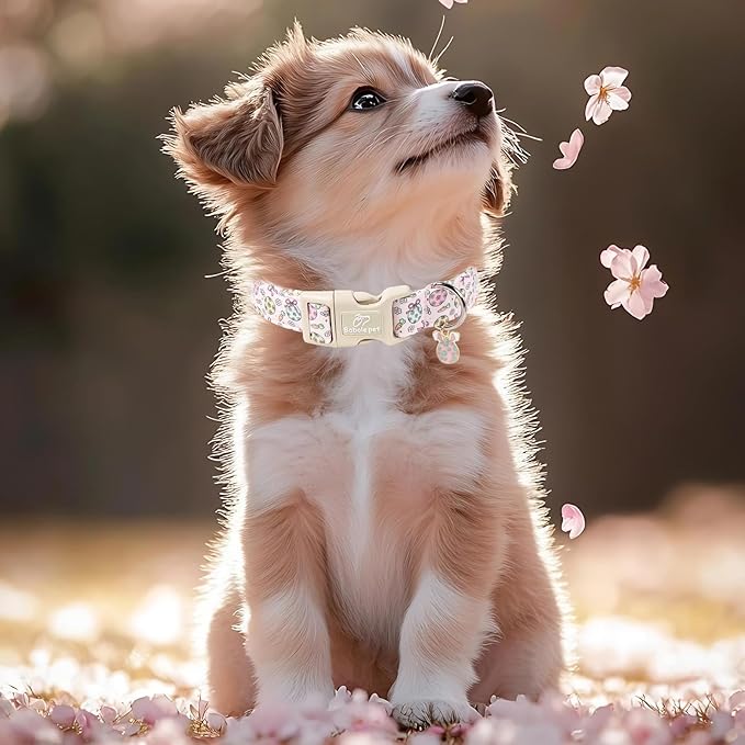 Easter Dog Collar for Small Dogs - Image 7