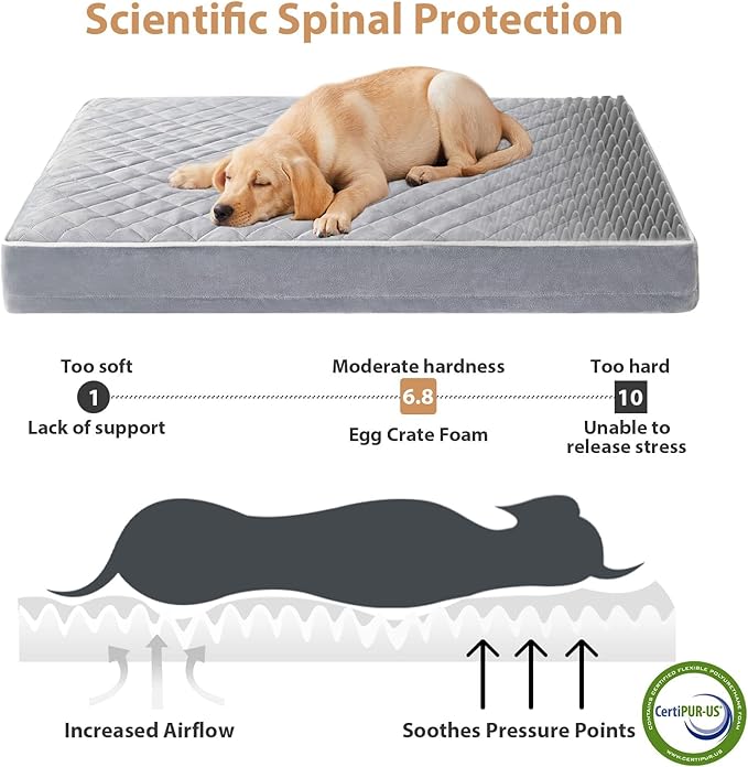 WNPETHOME Orthopedic XL Dog Bed - Image 3