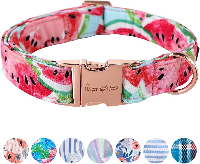 Unique style paws Dog Collar Metal Buckle Watermelon Collar Gift Durable Cute by Uniquestylepaws
