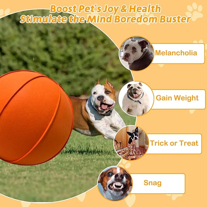 Herding Ball for Dogs, Dual Layered Herding Dog Ball Set for Australian Shepherd - Image 5