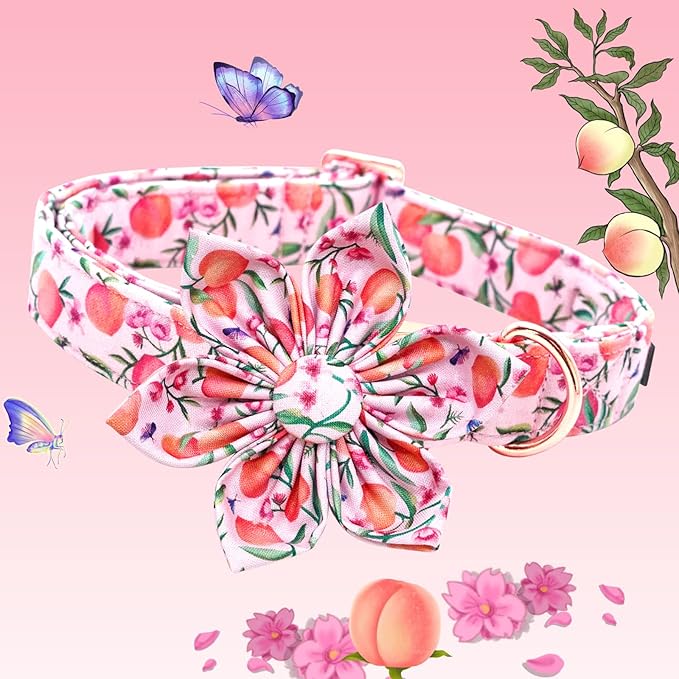 Lionheart Glory Pink Peach Flower Dog Collar - Image 3