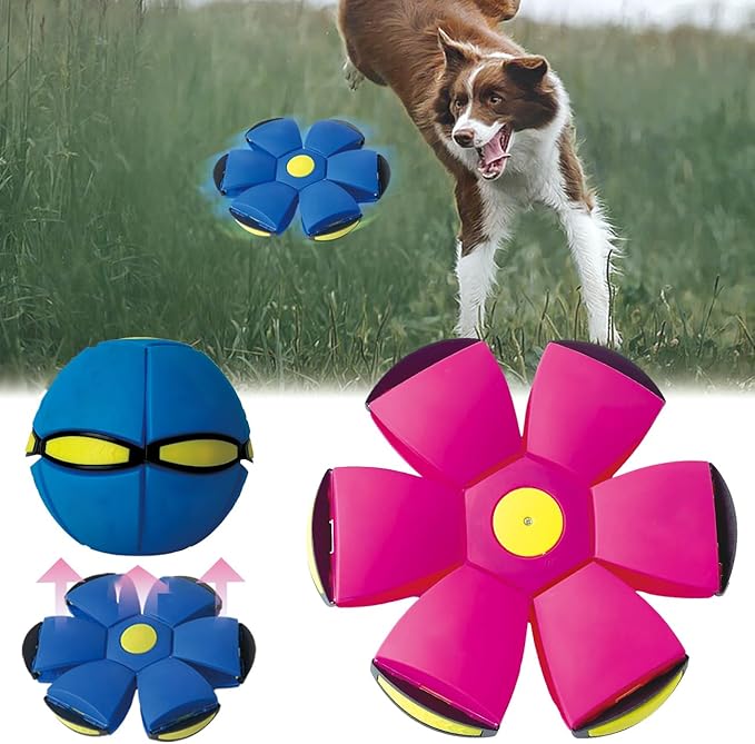 FlidRunest 2PCS Pet Toy Flying Saucer Ball, Flying Saucer Balls Dog Toy by BADWALT