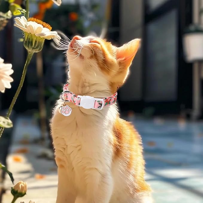 Unique Style Paws Christmas Kitten Collar, 2 Pack Cat Collar - Image 5