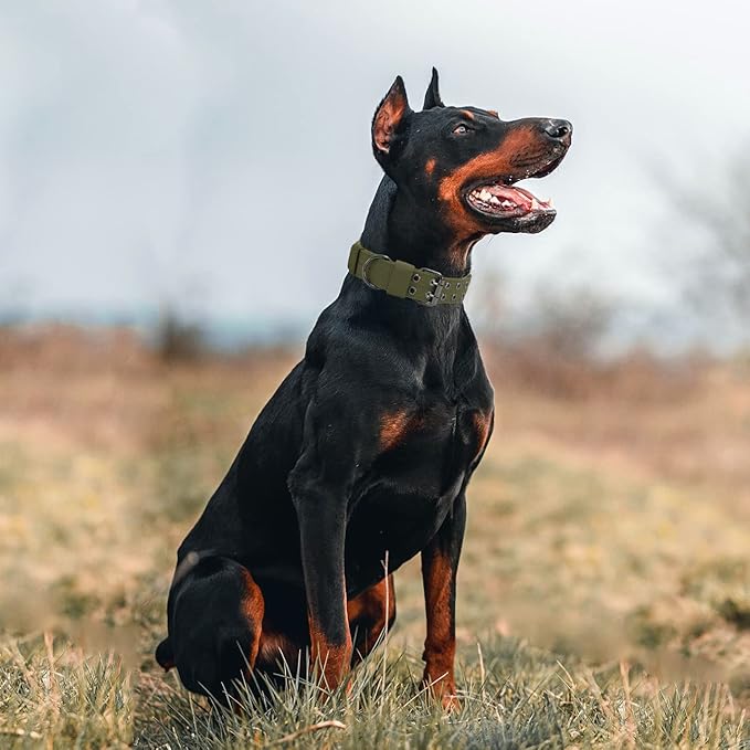 Tactical Dog Collar Military Adjustable Dog Collars Soft Nylon Training Collar - Image 4