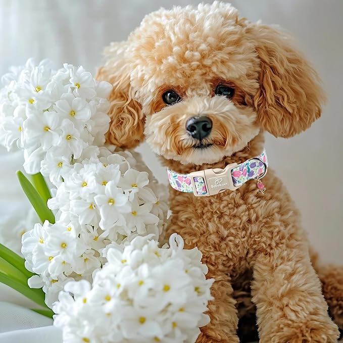 Floral Dog Collar for Medium Dogs - Image 2