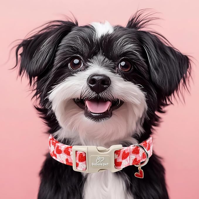 Valentines Dog Collar for Large Dogs - Image 7
